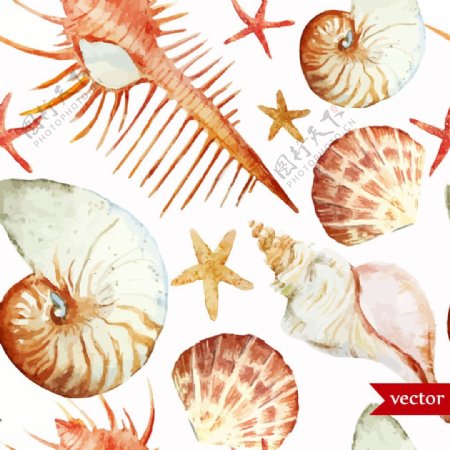 卡通海螺贝壳水彩夏日海洋动物元素