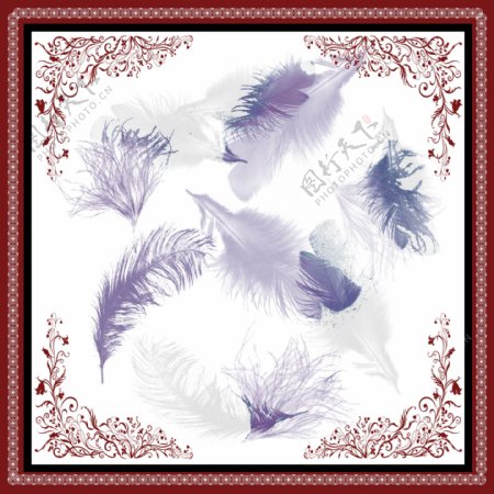 羽毛方巾花纹装饰画