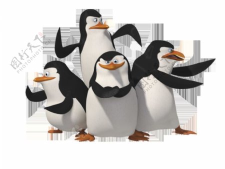 一群团结的企鹅免抠png透明图层素材