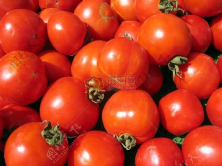 农民市场西红柿