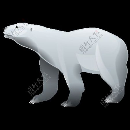抬头远望的北极熊免抠png透明图层素材