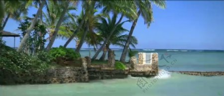 椰树海浪海岸风光高清实拍视频素材