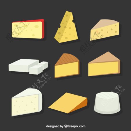 9款美味奶酪设计矢量素材