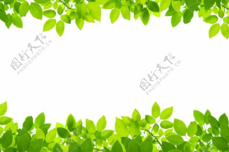 绿色叶子边框素材图片