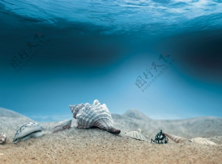 海底世界海报背景图片
