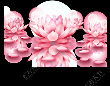 各种粉红荷花莲花免抠png透明图层素材