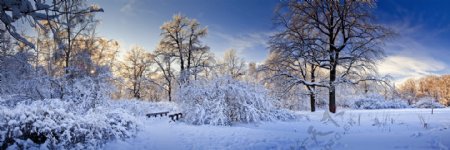 美丽冬天风景摄影图片