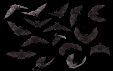 各种姿态蝙蝠剪影免抠png透明图层素材