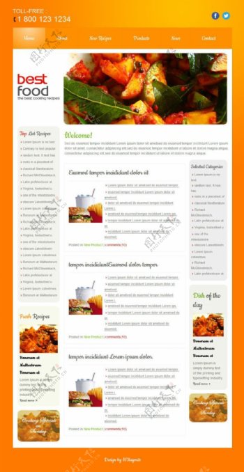 橙色美食日志网页模板