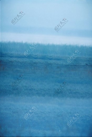 冷蓝色调草地树林影楼摄影背景图片