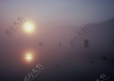 大雾风景摄影图片