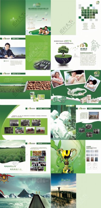 绿色企业画册设计PSD素材