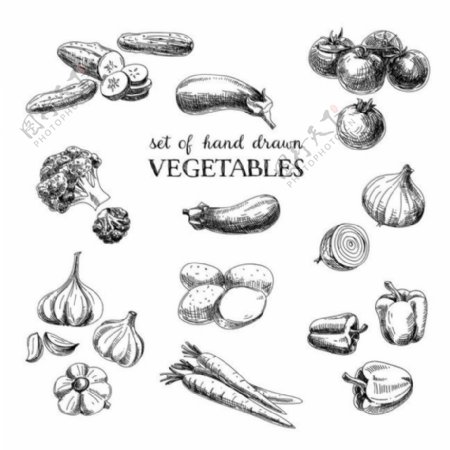 蔬菜水果素描图片