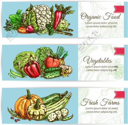 简约蓝色健康蔬菜水果海报卡片背景矢量