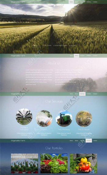 蔬菜农场网页模板