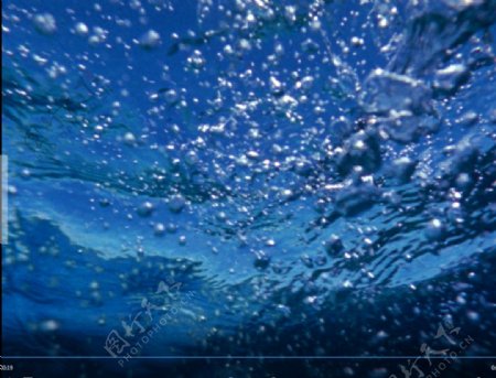 海水气泡视频