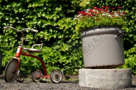花卉园林玩罐花盆童年玩具三轮车