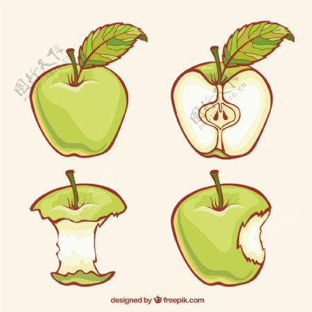 苹果水果矢量图