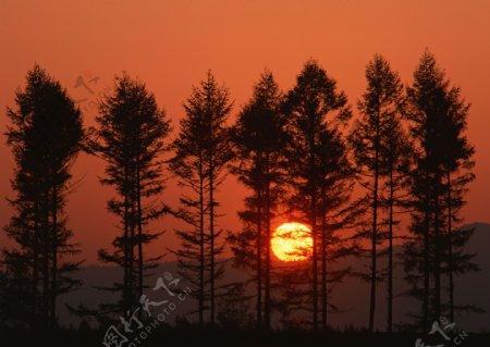 日落风景摄影图片