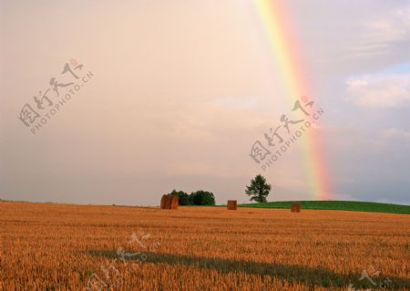彩虹美景图片