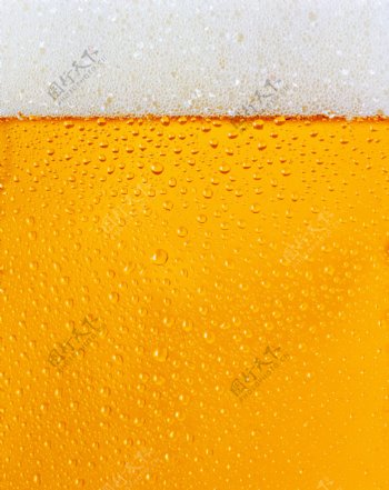啤酒背景素材图片