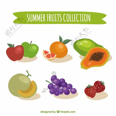 彩色夏日水果系列