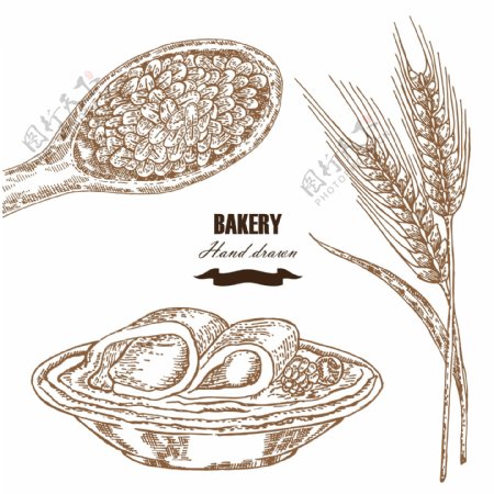 小麦与煎饼素描插画