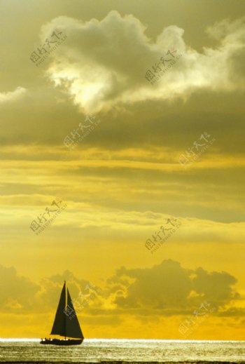 黄色海洋里的帆船图片
