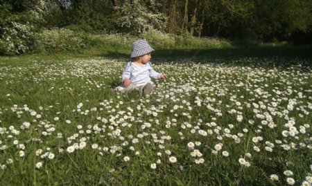 木材场花蓝色夏天可爱的草春天绿色婴儿男孩雏菊雏菊蹒跚学步