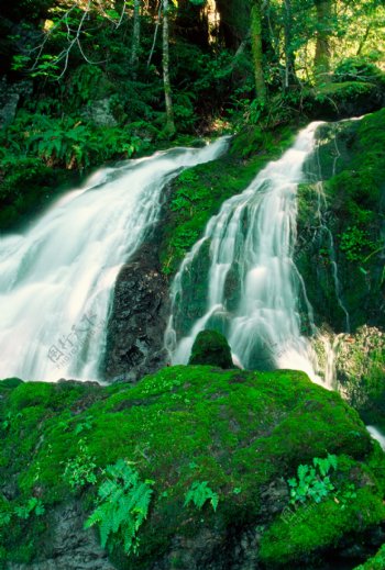 绿色山林里的瀑布图片