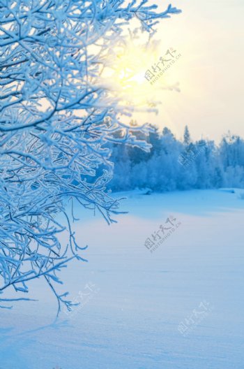 冬天风景与阳光图片