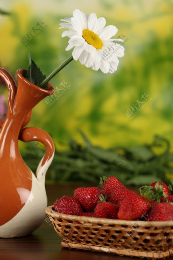 花瓶里的白色菊花与草莓图片