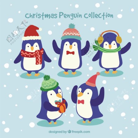 圣诞企鹅收集