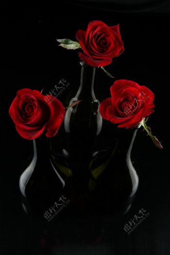 黑色玫瑰花瓶图片