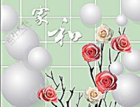 现代浪漫家和玫瑰花背景墙图片