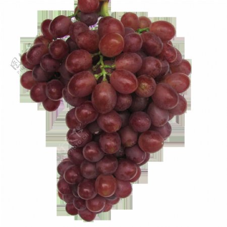 唯美红葡萄高清素材