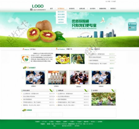 农产品企业网站模板PSD素材模板