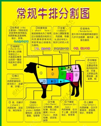 牛排牛肉分割图
