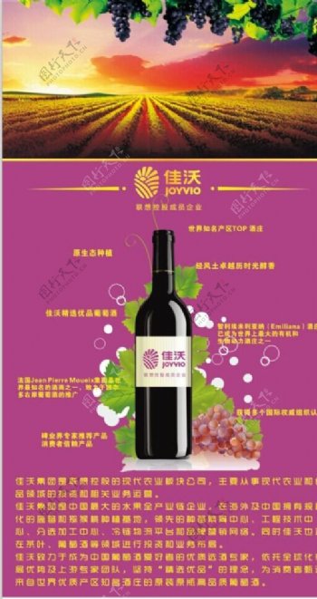佳沃葡萄酒海报