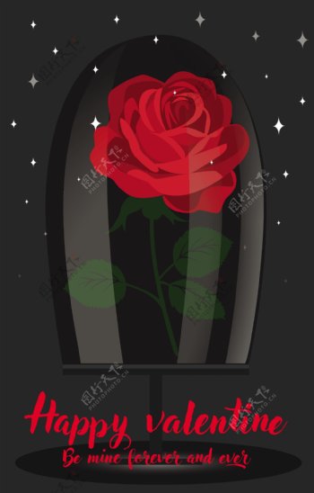 漂亮红色玫瑰花背景图