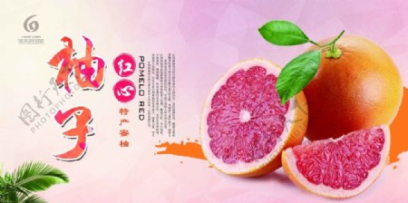 水果柚子海报