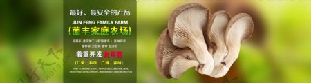 干货蘑菇香菇