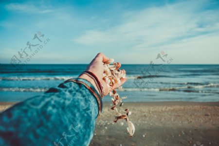 在海滩上玩贝壳的人
