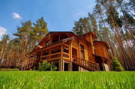 树林木屋建筑设计