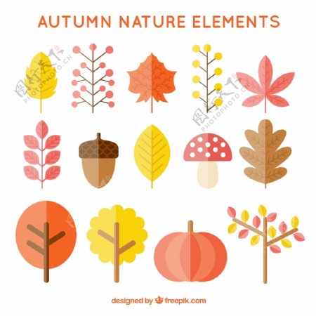 秋季自然元素集合