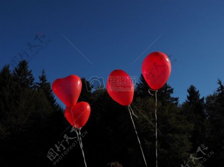 树林里的红色气球