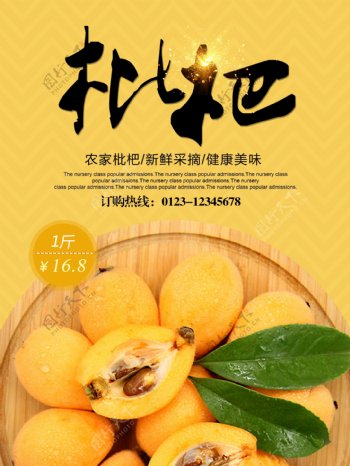 新鲜美味水果枇杷采摘农家优惠促销海报