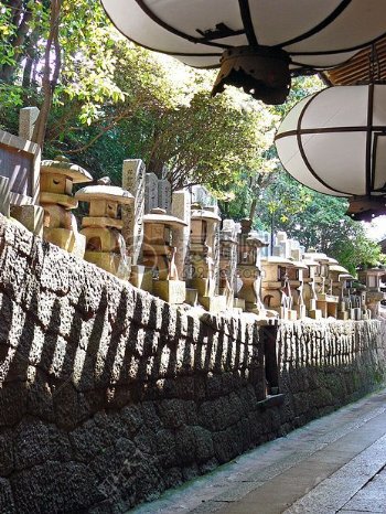 树木坟墓日本神社