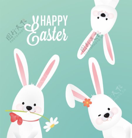 可爱的复活节背景和三只兔子