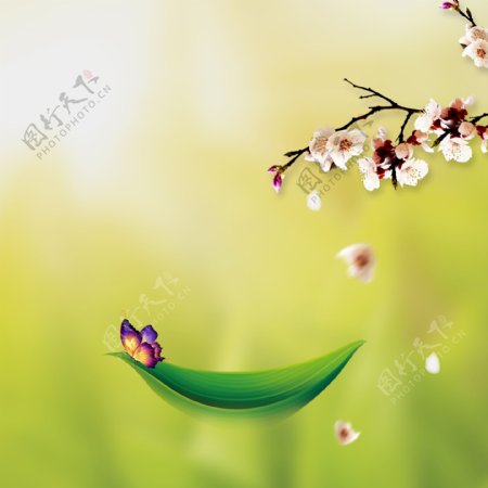 绿叶小舟彩色蝴蝶花朵花苞花瓣绿色背景素材